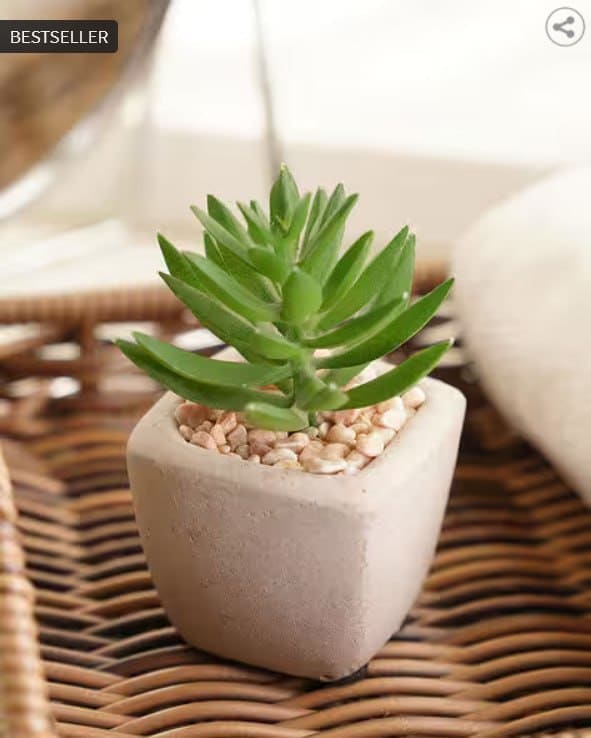 🌿 PURE HOME AND LIVING Artificial Succulents with Pot 🪴✨