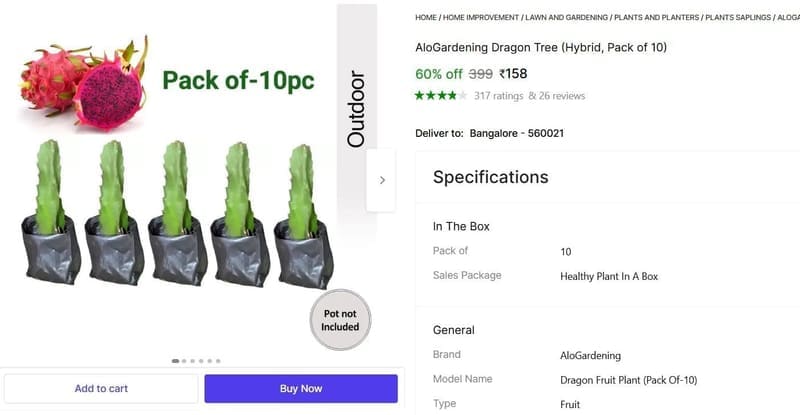🔥  Dragon Tree (Hybrid, Pack of 10) @ ₹158