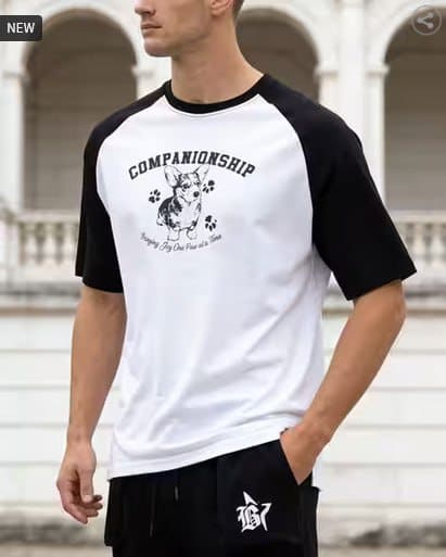 🔥 SHEIN Raglan Sleeve Graphic Chest Print Crew T-Shirt 👕✨