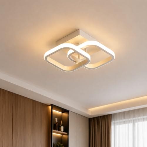 Desidiya 22W Modern LED Ceiling Light, 2 Square Flush Mount,...