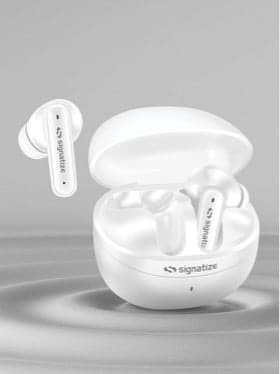 🔥 SIGNATIZE Truly Wireless In-Ear Earbuds 🎧