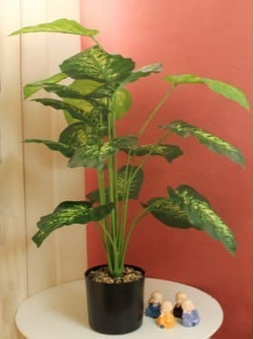 🔥 TIED RIBBONS Green & Black Artificial Money Plant with Pot