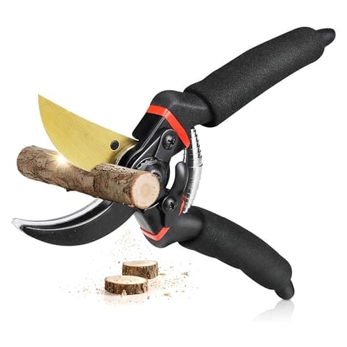 🛒 JD FRESH 8 Inch Heavy Duty Gardening Scissor/Plant Cutter for Garden/Pruners for Plants/Branch Cutter for Plants/Flower Cutter/Secateurs/Pruning Shears (Titanium Blade, Black)