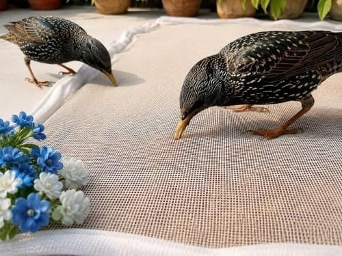 🛒 Mesh Food Drying Cover Net with Zipper Closure for Grain Drying, White Protective Mesh Cover for Terrace, Balcony and Outdoor Drying (28 X 38 INCHES)