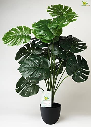 🛒 Blooming Floret Artificial Monstera Plant | with Basic Black Pot | 18 Green Leaves | Big Ornamental Plant for Interior Decor/Home Decor/Office Decor | 73.6 cm Tall Natural Looking Plant