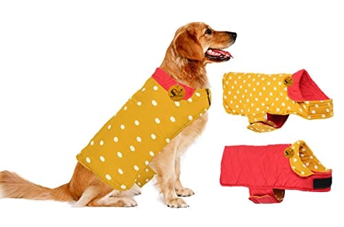 Sage Square 2 in 1 Premium Reversible Double Side Dog Coat, ...
