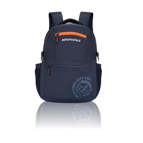 Aeropostale Backpack Basin | Durable 2-Compartment Laptop Ba...