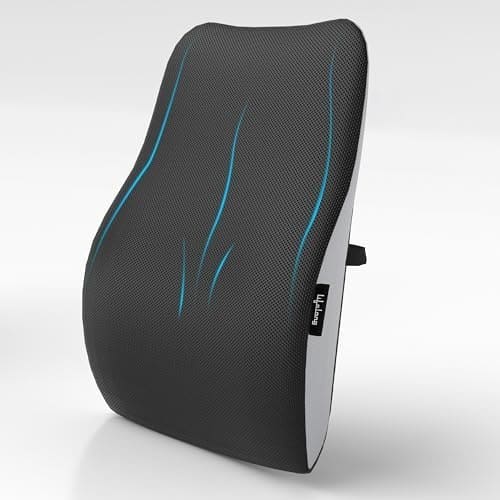 Lifelong Back Support Cushion for Office Chair & Car | Ergon...