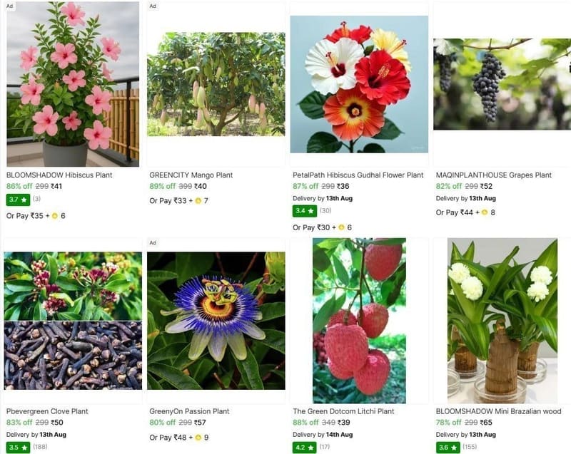 🔥  Plant Saplings From Start @ ₹36