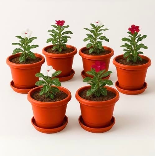 🛍️ Kraft Seeds 10 Inch Pack of 6 Flower Pots for Garden with Bottom Plate & Drainage Hole,Plastic Pot for Plants,Indoor & Outdoor- Planters for Balcony,UV Treated Gamla for Plants,Round Plant Pot,Red