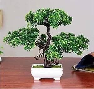 Dekorly Artificial Bonsai with Plastic Pot at Rs.200.