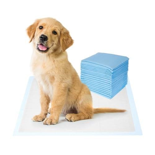 🛍️ Amazon Basics Dog And Puppy Pee Pads | Pack Of 20 | 24 X 23 Inches | Leak-Proof, Quick-Dry Design For Potty Or Indoor Training | Heavy Duty Absorbency